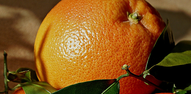 «Жизнь без преград» РИА Новости поддержат благотворительную акцию «Мы дарили апельсин»