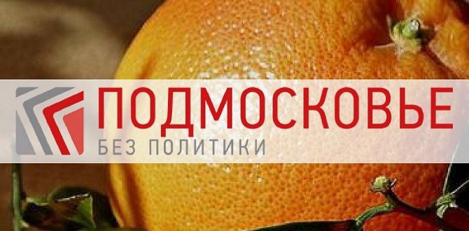 «Подмосковье без политики» поддерживает благотворительную акцию «Мы дарили апельсин»